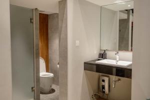 曼谷Woodstory Boutique Hotel的一间带卫生间、水槽和镜子的浴室