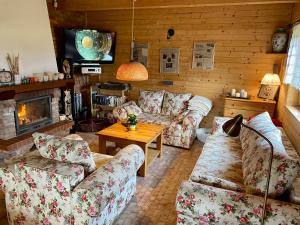 PrzewózSznureczki的客厅设有两张沙发和一个壁炉