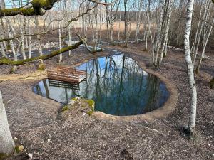 ReinaLepikumäe Holiday Home with Sauna Possibility的坐在树林池塘边的长凳