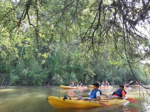 奥尔纳丘埃洛斯Centro de Naturaleza Cañada Verde "el Parque de Naturaleza con mas experiencias de Andalucía"的一群人乘皮划艇在河边骑