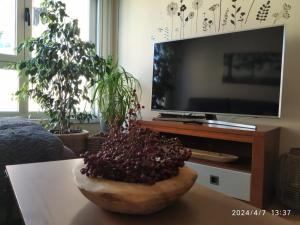 CambreRía del Burgo的电视机前的桌子上放着一碗水果