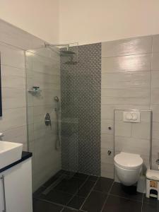 萨兰达萨兰达酒店的带淋浴、卫生间和盥洗盆的浴室