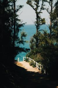莲三Khách sạn Phú Yên的一条通往大海的小路,上面有树木和围栏