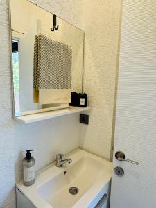 博德鲁姆Athena Tiny House的一间带水槽和镜子的浴室