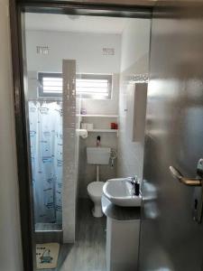 奇帕塔Ticia Apartment的一间带卫生间和水槽的小浴室