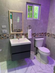 Brighton VillageTaste Of Freedom的紫色浴室设有卫生间和水槽