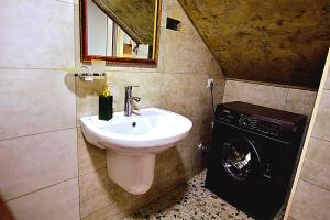 博尔若米Chalet Resort Weekend Borjomi的一间带水槽和洗衣机的浴室