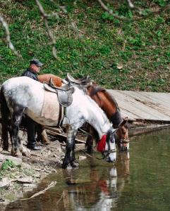 米日吉里亚Котеджі Карпати Fest的河水的男人和马