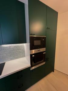 日利纳Apartmán Melissa的一间厨房,配有绿色的橱柜和微波炉