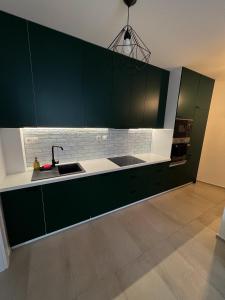 日利纳Apartmán Melissa的厨房配有绿色橱柜和水槽