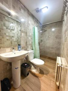 艾兹鲁AUBERGE JOMANA PARK的一间带水槽、卫生间和淋浴的浴室