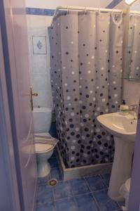 提诺斯Soula Rooms Tinos的带淋浴、卫生间和盥洗盆的浴室