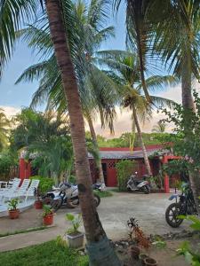 贝岛Bungalow 5 avec piscine à proximité de la plage的一群摩托车停在棕榈树建筑前面