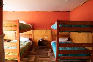 库拉考廷Cabañas & Hostal Lefuco的橙色墙壁的客房内设有两张双层床。