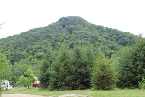 Roan MountainEco Friendly Glamping Yurt In Roan Mountain Tn的前面有一辆红色卡车,掩埋在树上的山