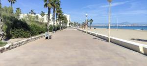 托雷利亚诺Apartamento La Paz的一条沿着海滩的步道,那里有长凳和棕榈树