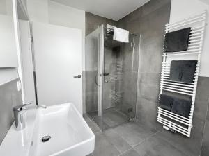 施韦夏特Reinisch Apartments的带淋浴、盥洗盆和卫生间的浴室