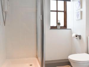 Llangwm-isafTy Ffair Mai Annexe的带淋浴和卫生间的浴室以及窗户。
