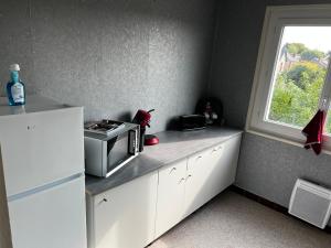YzeureF3 gîte « le Général Leclerc » pour 6 personnes的厨房设有微波炉和窗户。