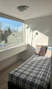 诺德克豪特Beach Bungalow - Noordwijk aan Zee的一间卧室设有窗户和一张带枕头的床