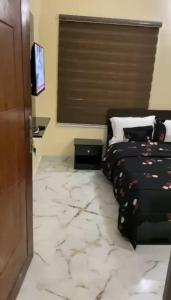 阿布贾LA VIVA AIRBNB的一间卧室配有一张床和一台电视