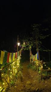 蒙纳Triloka Dorm by The Offbeat Crew的夜间栅栏上一串旗帜和灯