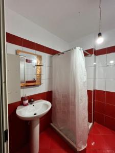 都拉斯LunaSol seaside Apartments的一间带水槽和淋浴的浴室