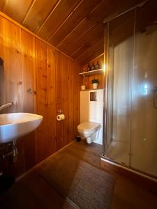 埃基斯蒂尔Hengifosslodge Skáldahús的浴室配有卫生间、盥洗盆和淋浴。