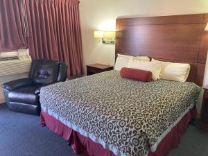 温泉城希尔斯旅馆的配有一张床和一把椅子的酒店客房