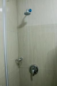开普敦BOTHA VILLA LODGE的浴室内配有淋浴和头顶淋浴
