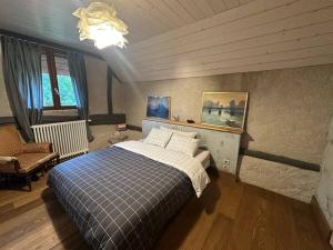 Héry-sur-AlbyFrench Farmhouse between Lake & Mountain的一间卧室配有一张床和一个吊灯