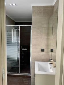 亚历山德鲁波利斯Villa Joanne的一间带水槽和玻璃淋浴的浴室