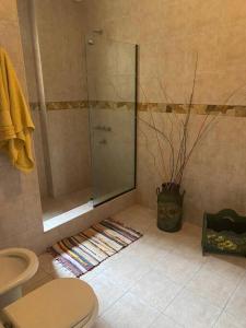 萨尔塔Casa Bella Vista的一间带卫生间和玻璃淋浴间的浴室