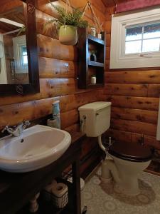 特兹西尼德299 Willow Lodge的一间带卫生间和水槽的浴室