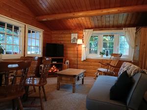 特兹西尼德299 Willow Lodge的带沙发和壁炉的客厅