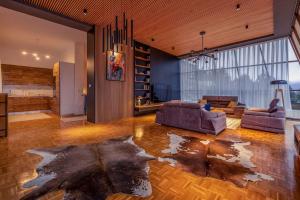普雷瓦莱Luxurious Villa in Prevalla的客厅配有两张沙发和地毯。