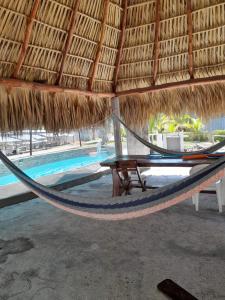 蒙特里科Casa Villa Pesca的游泳池旁草屋的吊床