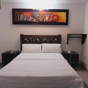 巴耶杜帕尔HOTEL SARACHUY VALLEDUPAR的卧室配有一张床,墙上挂有绘画作品