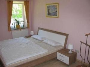 赛达Ferienwohnung für 4 Personen ca 37 qm in Sayda, Sachsen Osterzgebirge的一间卧室设有一张床和一个窗口