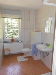 赛达Ferienwohnung für 4 Personen ca 37 qm in Sayda, Sachsen Osterzgebirge的一间带卫生间、水槽和窗户的浴室