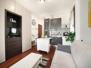 拉韦诺Lily Lake Maggiore的带沙发的客厅和厨房