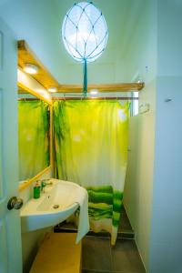 亭可马里Trinco Beach by DSK的一间带水槽和淋浴帘的浴室