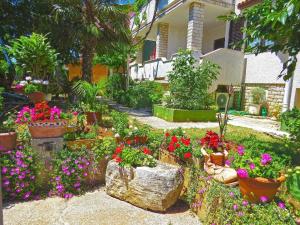 梅杜林Ferienwohnung für 2 Personen ca 28 qm in Medulin, Istrien Südküste von Istrien的种满了植物和花卉的花园
