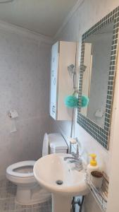 首尔Cosy 2 room flat nearby river的一间带水槽、卫生间和镜子的浴室