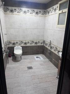欧奈宰سفانه的一间带卫生间和水槽的浴室
