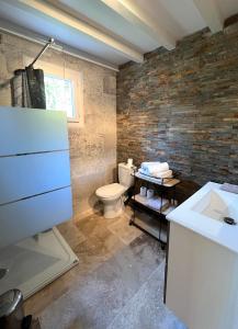 圣雷米普罗旺斯L'ALPILLE - Maison de vacances située à 10 mn à pied du centre ville de St Rémy avec place de parking privative的一间带卫生间和水槽的浴室