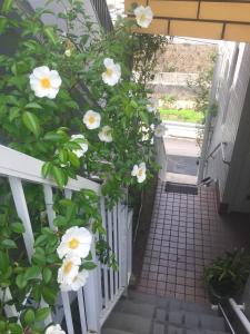长崎Exit8 Like hostel nedoko的白色栅栏上白色花的楼梯