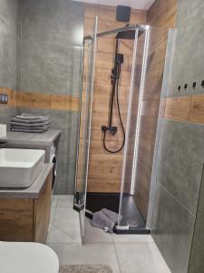 塔尔努夫Apartament K&H W Centrum的带淋浴和盥洗盆的浴室