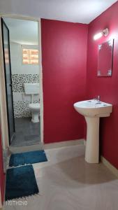 桑提科帕Divine Gift Coorg Homestay的一间带水槽和红色墙壁的浴室
