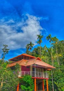 桑提科帕Divine Gift Coorg Homestay的一座棕榈树建筑